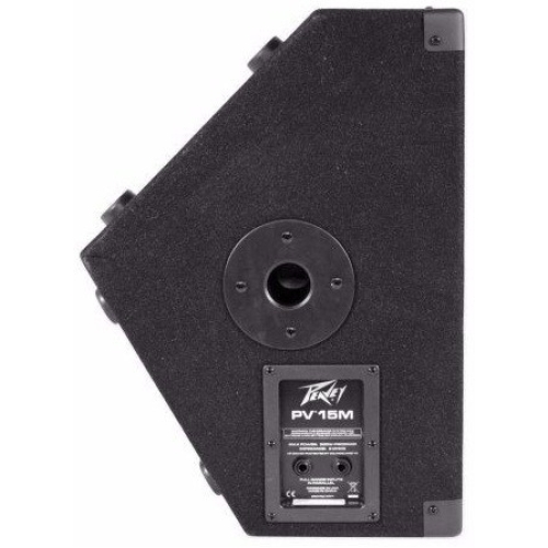 Peavey pv best sale floor monitor